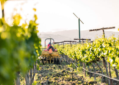 Tractor Driving through vineyard
